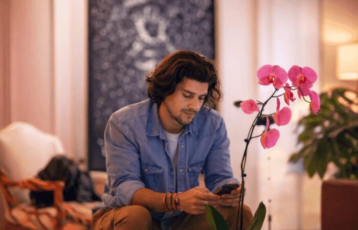 0168_Fuji Matcha_GPT 0168_Fuji Matcha_GPT